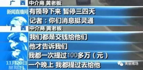 顺风车司机组织偷渡事件，为赚快钱而触碰法律红线