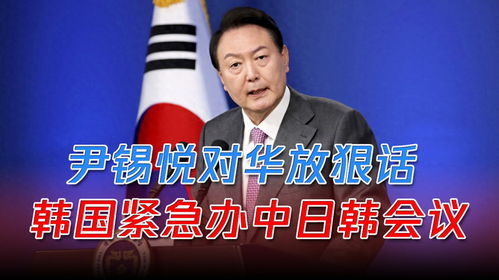 韩国深入调查，揭开尹锡悦紧急戒严真相的背后