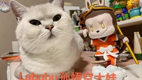 姚晨晒出LABUBU原价499被炒至4999，市场泡沫还是文化价值的胜利？
