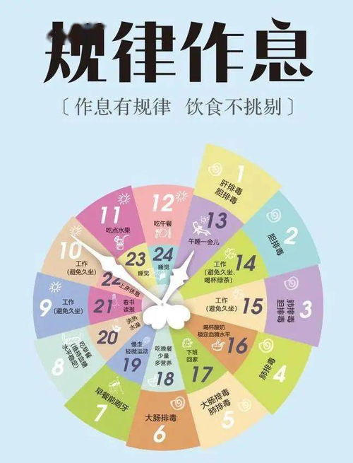 内蒙古脑瘫男孩高考601分，坚韧与奇迹的交响